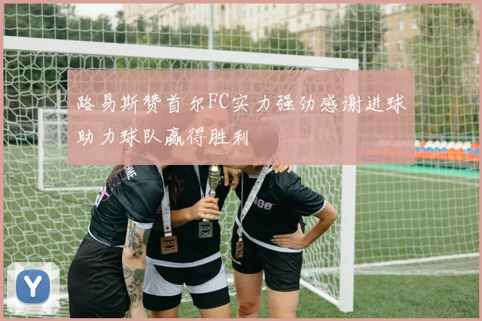 路易斯赞首尔FC实力强劲感谢进球助力球队赢得胜利