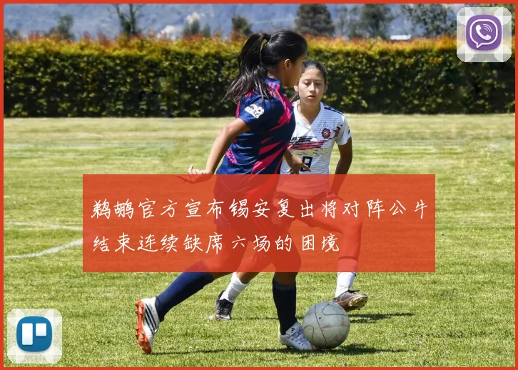 鹈鹕官方宣布锡安复出将对阵公牛结束连续缺席六场的困境
