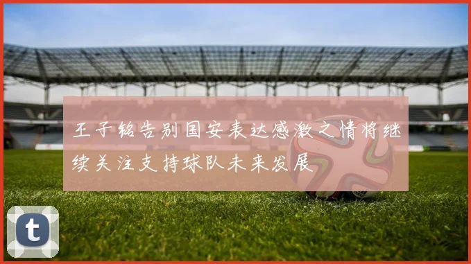 王子铭告别国安表达感激之情将继续关注支持球队未来发展