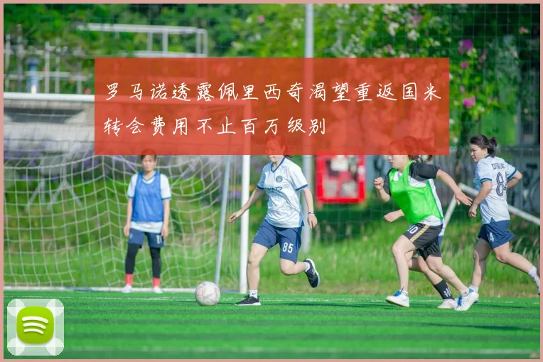 罗马诺透露佩里西奇渴望重返国米转会费用不止百万级别