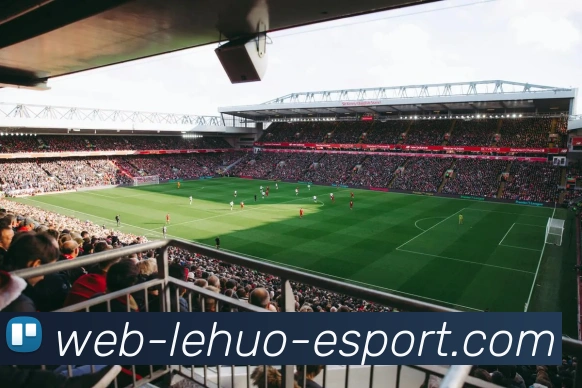 雷火电竞平台生态图